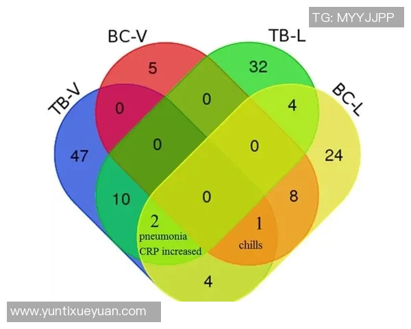 深入探讨武汉篮球队球员个人能力表现的数据分析与评估