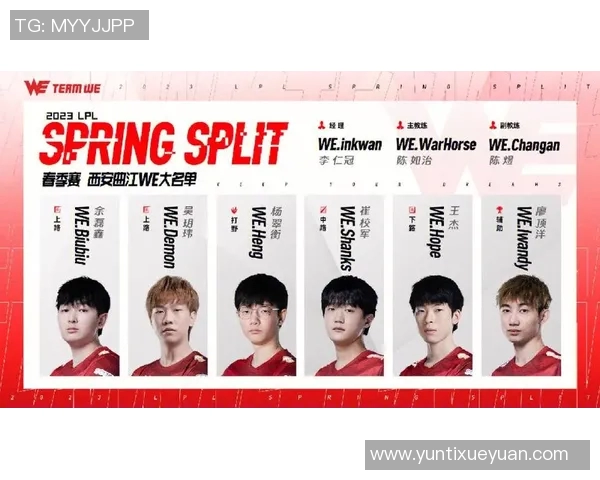 深入探讨WE战队在比赛中的数据分析与经验表现总结