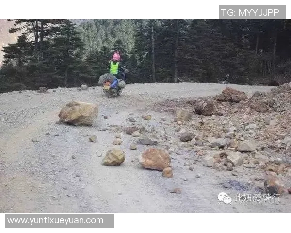 北京攀岩队防反革新之路探索与实践全景分析 北京攀岩队防反革新之路探索与实践全景分析