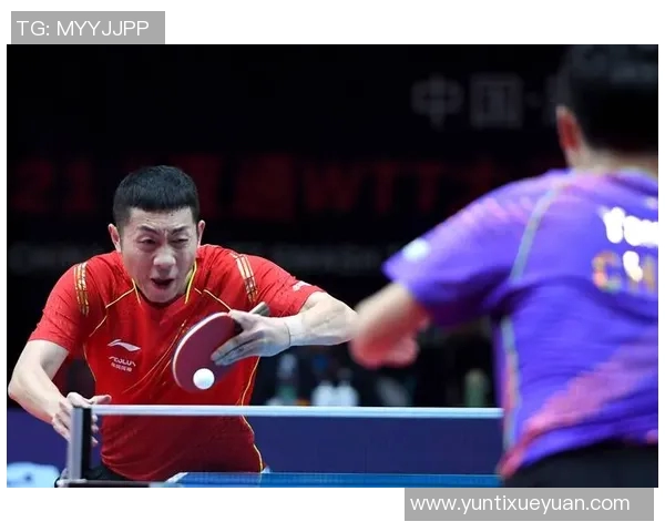 乒乓球深度解析：上海乒乓球队如何实现战术与技术的全面转型