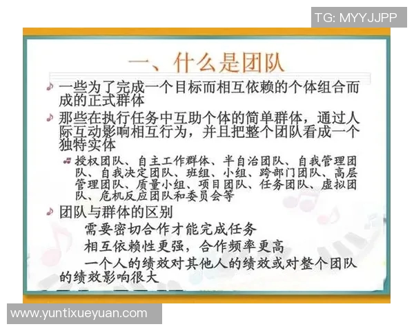 武汉羽毛球队团队协作分析与其他球队的对比研究 武汉羽毛球队团队协作分析与其他球队的对比研究