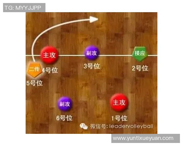 西安排球队快攻战术解析与实战应用探讨 西安排球队快攻战术解析与实战应用探讨