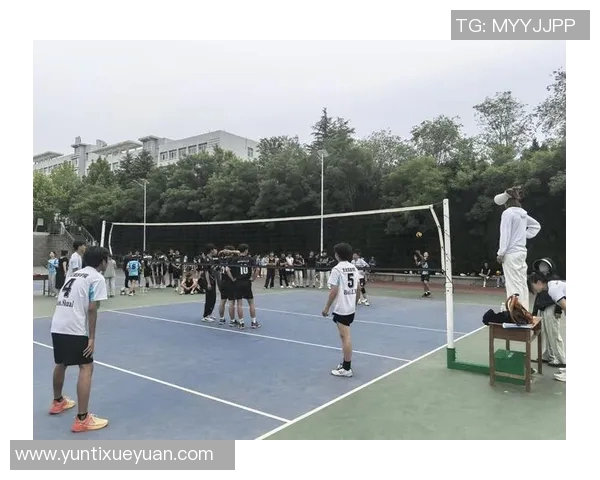 重庆排球队状态分析与未来展望聚焦排球运动发展新机遇