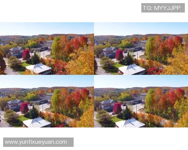 探索埃斯特旺的魅力与历史遗迹，感受独特文化与自然风光的完美融合