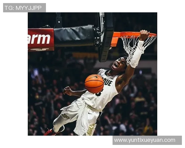 杰登艾维的篮球之路：从大学明星到NBA新星的成长故事