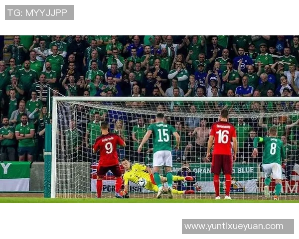 北爱尔兰对阵瑞士比赛分析与推荐策略分享