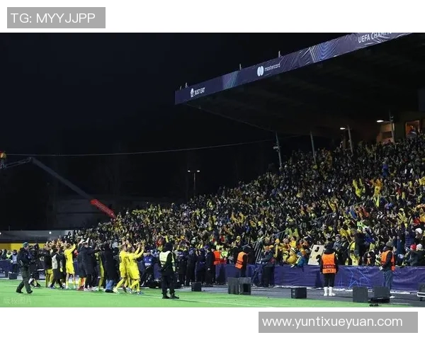 欧冠门票系统瘫痪数万球迷排队奋战12小时争抢梦寐以求的入场券