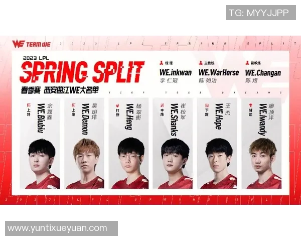 聚焦英雄联盟团队协作WE战队如何实现默契配合与战术执行MBA