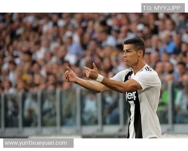 维拉与布伦特足球对决精彩纷呈谁将赢得这场激烈较量