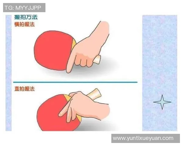 乒乓球新手必看：从基础技术到实战技巧的全面入门指南